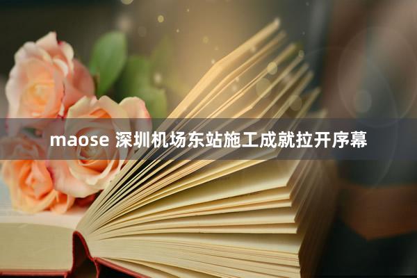 maose 深圳机场东站施工成就拉开序幕