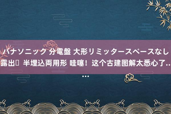 パナソニック 分電盤 大形リミッタースペースなし 露出・半埋込両用形 哇噻！这个古建图解太悉心了...