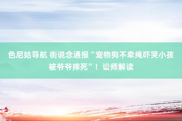 色尼姑导航 街说念通报“宠物狗不牵绳吓哭小孩被爷爷摔死”！讼师解读