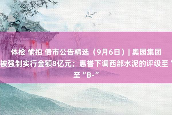 体检 偷拍 债市公告精选（9月6日）| 奥园集团新增被强制实行金额8亿元；惠誉下调西部水泥的评级至“B-”