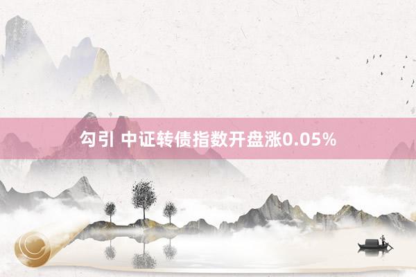 勾引 中证转债指数开盘涨0.05%