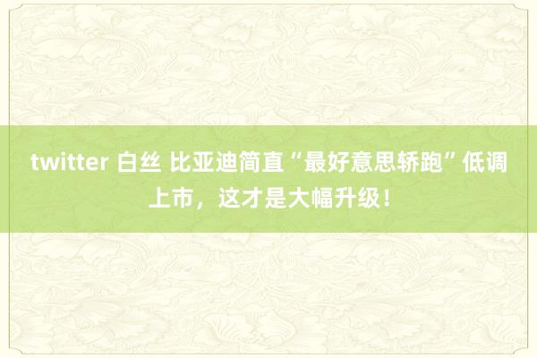 twitter 白丝 比亚迪简直“最好意思轿跑”低调上市，这才是大幅升级！