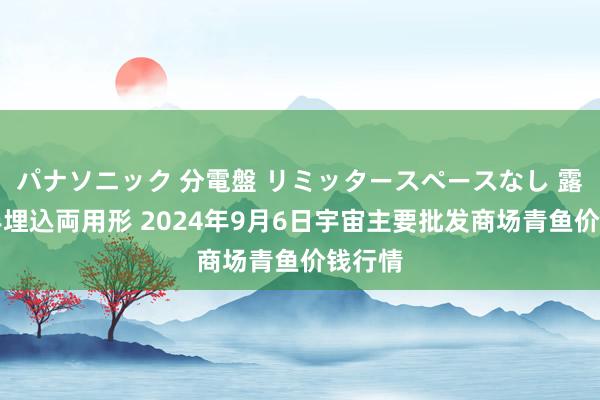 パナソニック 分電盤 リミッタースペースなし 露出・半埋込両用形 2024年9月6日宇宙主要批发商场青鱼价钱行情