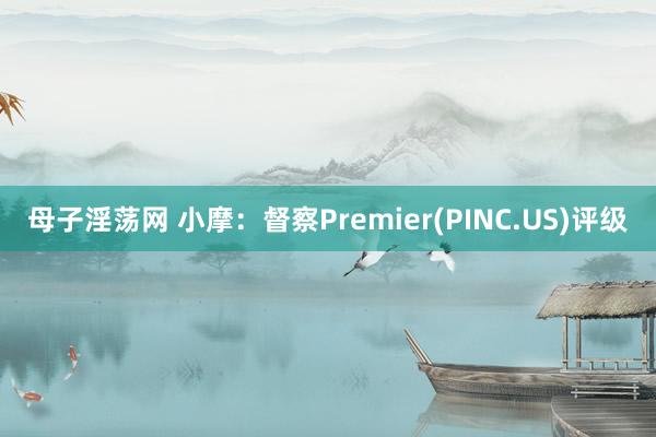 母子淫荡网 小摩：督察Premier(PINC.US)评级