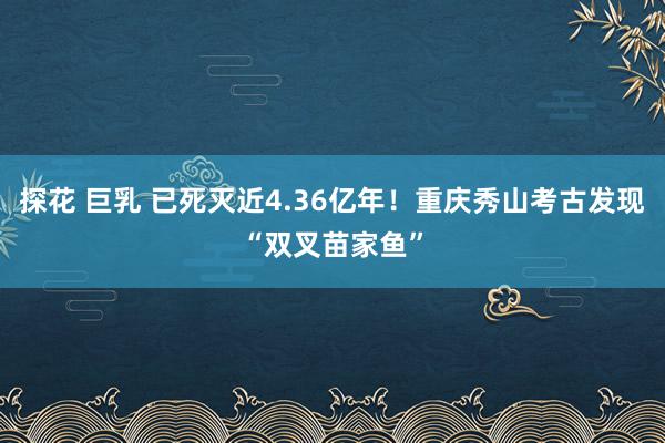 探花 巨乳 已死灭近4.36亿年！重庆秀山考古发现“双叉苗家鱼”