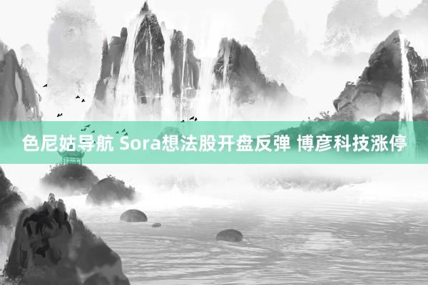 色尼姑导航 Sora想法股开盘反弹 博彦科技涨停