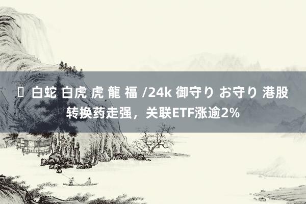 ✨白蛇 白虎 虎 龍 福 /24k 御守り お守り 港股转换药走强，关联ETF涨逾2%