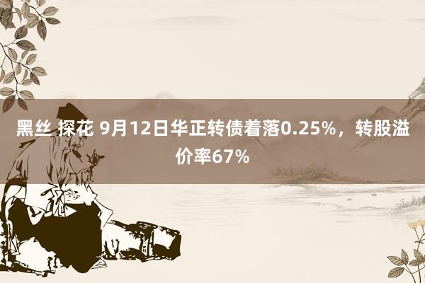 黑丝 探花 9月12日华正转债着落0.25%，转股溢价率67%