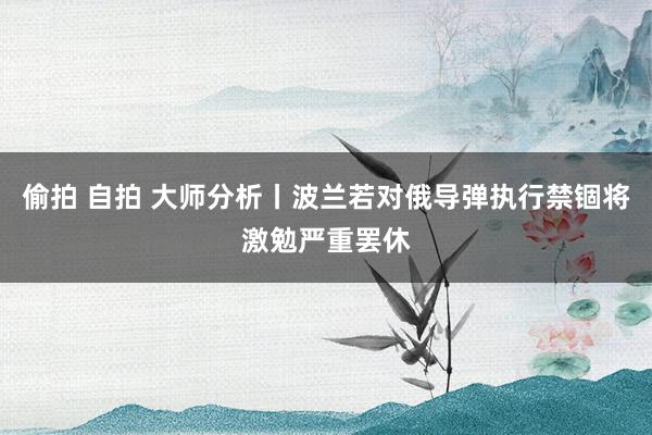 偷拍 自拍 大师分析丨波兰若对俄导弹执行禁锢将激勉严重罢休