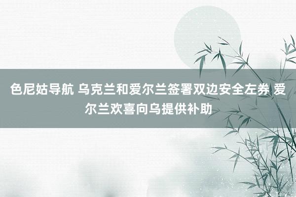 色尼姑导航 乌克兰和爱尔兰签署双边安全左券 爱尔兰欢喜向乌提供补助