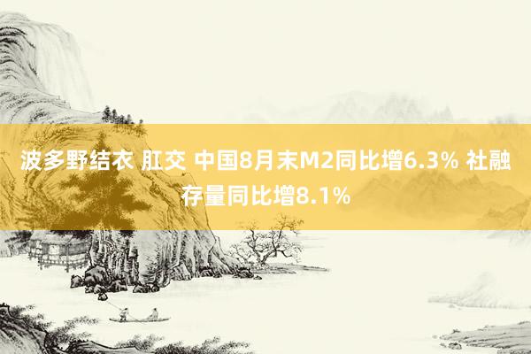 波多野结衣 肛交 中国8月末M2同比增6.3% 社融存量同比增8.1%