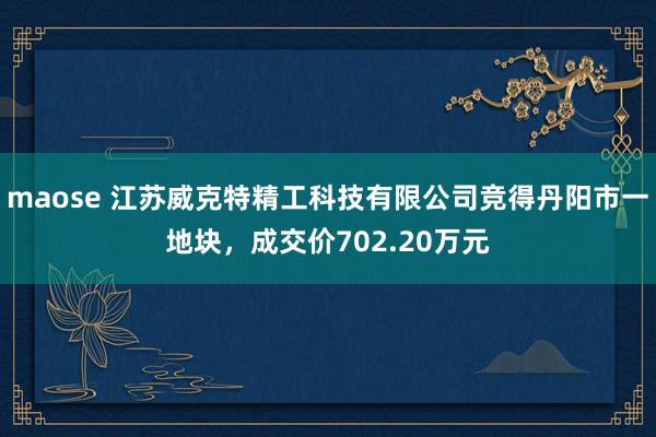 maose 江苏威克特精工科技有限公司竞得丹阳市一地块，成交价702.20万元