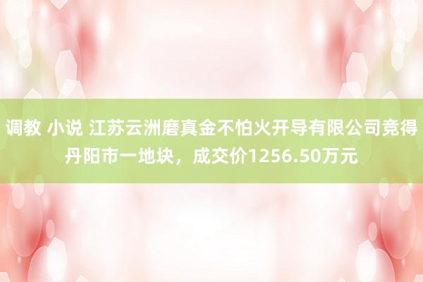 调教 小说 江苏云洲磨真金不怕火开导有限公司竞得丹阳市一地块，成交价1256.50万元