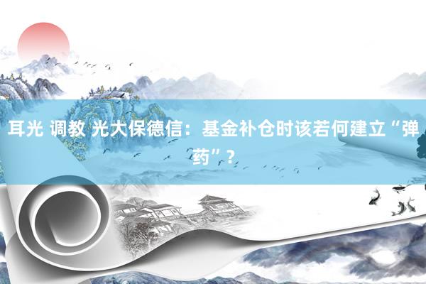 耳光 调教 光大保德信：基金补仓时该若何建立“弹药”？