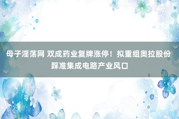 母子淫荡网 双成药业复牌涨停！拟重组奥拉股份 踩准集成电路产业风口