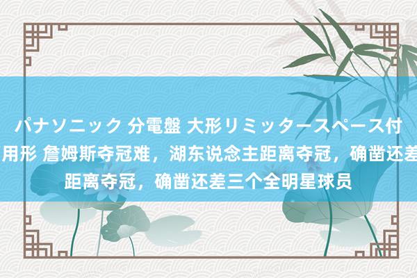 パナソニック 分電盤 大形リミッタースペース付 露出・半埋込両用形 詹姆斯夺冠难，湖东说念主距离夺冠，确凿还差三个全明星球员