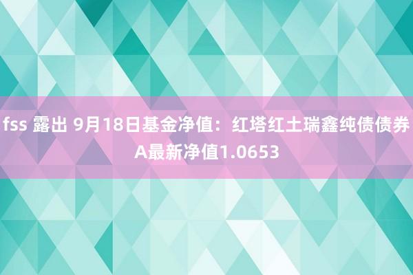 fss 露出 9月18日基金净值：红塔红土瑞鑫纯债债券A最新净值1.0653