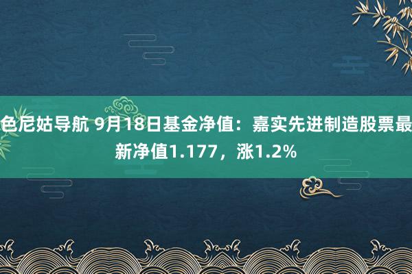 色尼姑导航 9月18日基金净值：嘉实先进制造股票最新净值1.177，涨1.2%