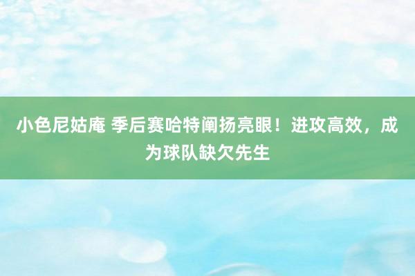 小色尼姑庵 季后赛哈特阐扬亮眼！进攻高效，成为球队缺欠先生