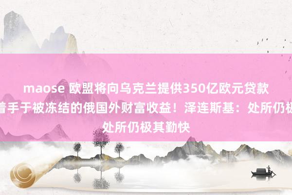 maose 欧盟将向乌克兰提供350亿欧元贷款，贷款着手于被冻结的俄国外财富收益！泽连斯基：处所仍极其勤快