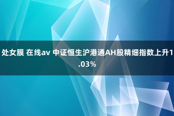 处女膜 在线av 中证恒生沪港通AH股精细指数上升1.03%