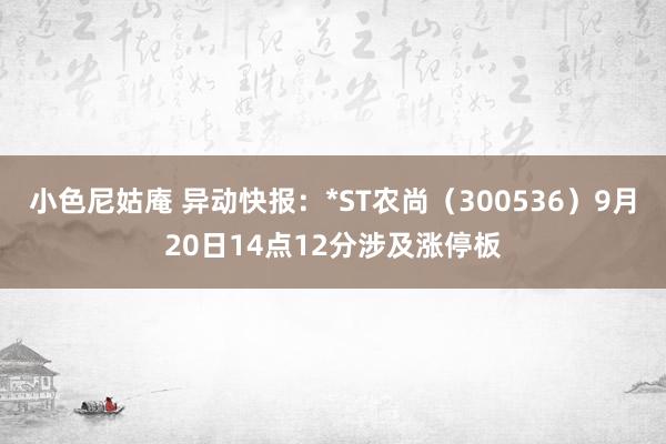 小色尼姑庵 异动快报：*ST农尚（300536）9月20日14点12分涉及涨停板