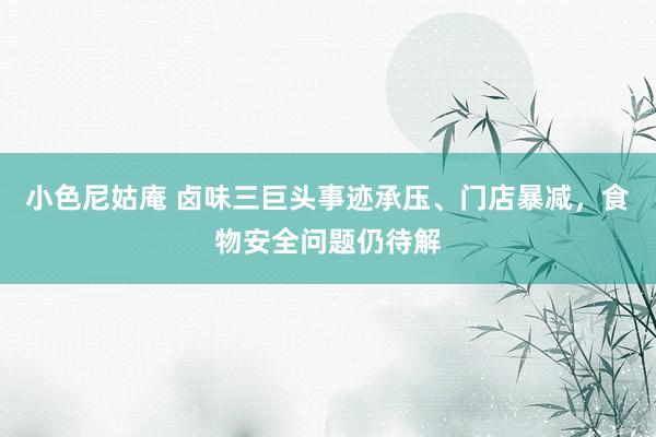 小色尼姑庵 卤味三巨头事迹承压、门店暴减，食物安全问题仍待解