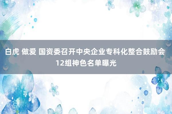 白虎 做爱 国资委召开中央企业专科化整合鼓励会 12组神色名单曝光