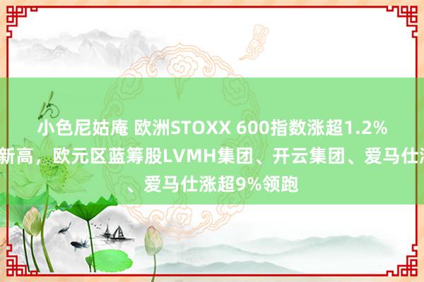 小色尼姑庵 欧洲STOXX 600指数涨超1.2%创收盘历史新高，欧元区蓝筹股LVMH集团、开云集团、爱马仕涨超9%领跑