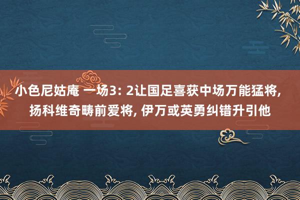 小色尼姑庵 一场3: 2让国足喜获中场万能猛将， 扬科维奇畴前爱将， 伊万或英勇纠错升引他