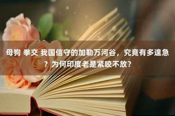 母狗 拳交 我国信守的加勒万河谷，究竟有多遑急？为何印度老是紧咬不放？