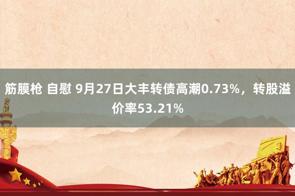 筋膜枪 自慰 9月27日大丰转债高潮0.73%，转股溢价率53.21%