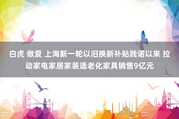 白虎 做爱 上海新一轮以旧换新补贴践诺以来 拉动家电家居家装适老化家具销售9亿元