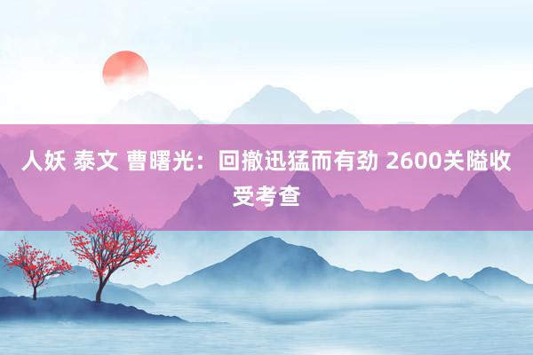 人妖 泰文 曹曙光：回撤迅猛而有劲 2600关隘收受考查