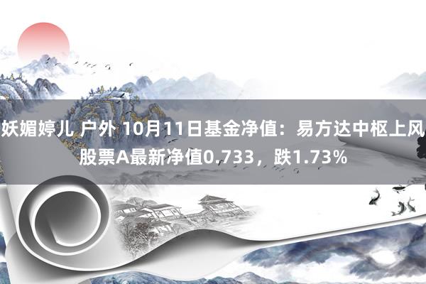 妖媚婷儿 户外 10月11日基金净值：易方达中枢上风股票A最新净值0.733，跌1.73%