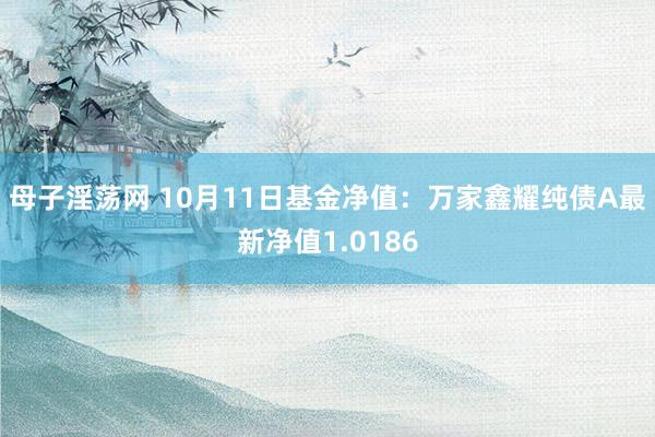 母子淫荡网 10月11日基金净值：万家鑫耀纯债A最新净值1.0186