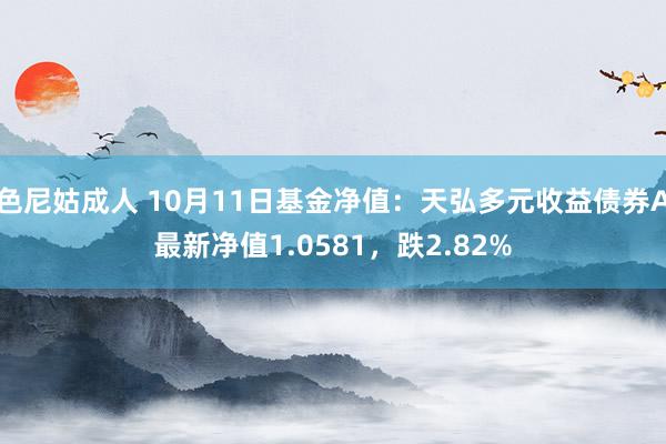 色尼姑成人 10月11日基金净值：天弘多元收益债券A最新净值1.0581，跌2.82%