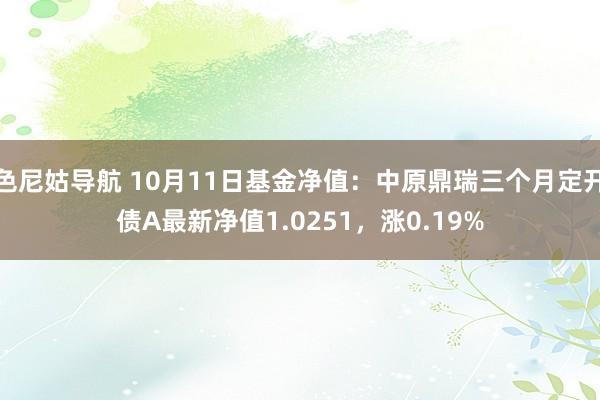 色尼姑导航 10月11日基金净值：中原鼎瑞三个月定开债A最新净值1.0251，涨0.19%