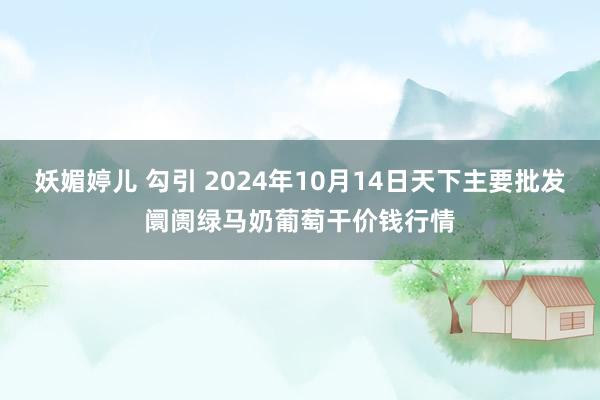 妖媚婷儿 勾引 2024年10月14日天下主要批发阛阓绿马奶葡萄干价钱行情