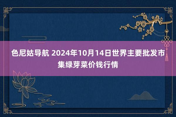 色尼姑导航 2024年10月14日世界主要批发市集绿芽菜价钱行情