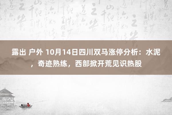 露出 户外 10月14日四川双马涨停分析：水泥，奇迹熟练，西部掀开荒见识热股