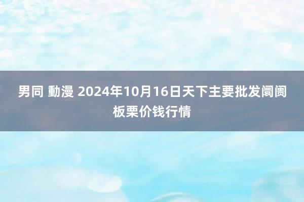 男同 動漫 2024年10月16日天下主要批发阛阓板栗价钱行情