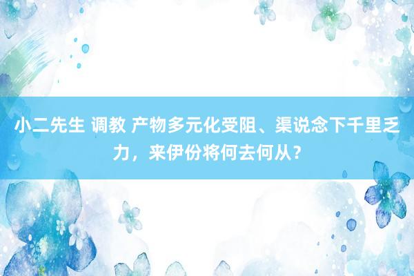 小二先生 调教 产物多元化受阻、渠说念下千里乏力，来伊份将何去何从？