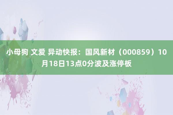 小母狗 文爱 异动快报：国风新材（000859）10月18日13点0分波及涨停板