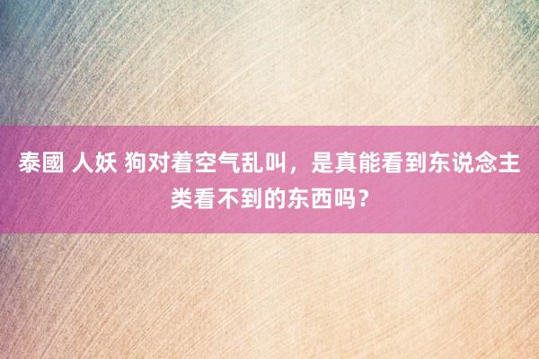 泰國 人妖 狗对着空气乱叫，是真能看到东说念主类看不到的东西吗？