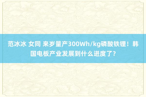 范冰冰 女同 来岁量产300Wh/kg磷酸铁锂！韩国电板产业发展到什么进度了？