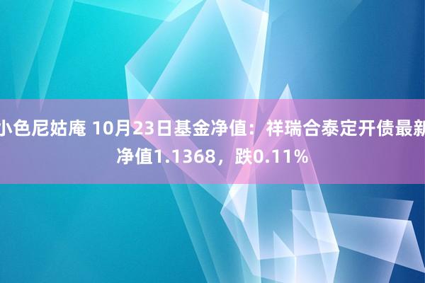 小色尼姑庵 10月23日基金净值：祥瑞合泰定开债最新净值1.1368，跌0.11%