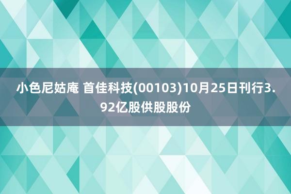 小色尼姑庵 首佳科技(00103)10月25日刊行3.92亿股供股股份