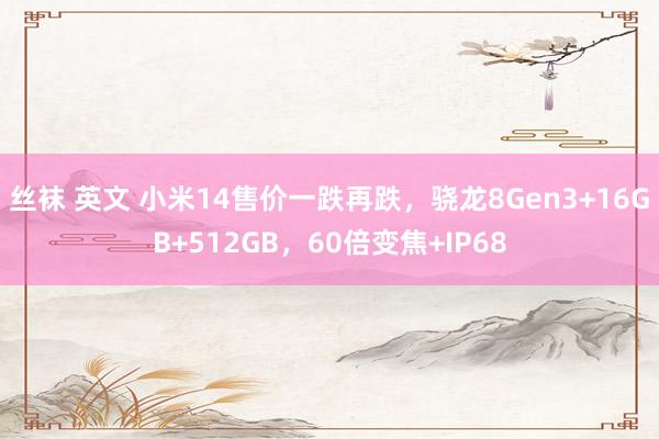 丝袜 英文 小米14售价一跌再跌，骁龙8Gen3+16GB+512GB，60倍变焦+IP68