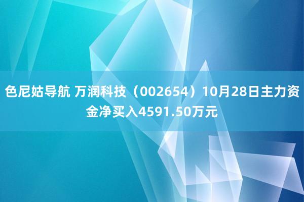 色尼姑导航 万润科技（002654）10月28日主力资金净买入4591.50万元